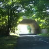 Another minor road south of junction 13, and here the underpass fits right into the landscape by echoing the arch of the trees.